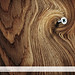 Christine Graf Photo 10