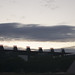 Carlos Osuna Photo 9
