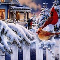 Diane Buswell Photo 8