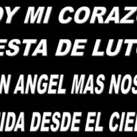 Maricely Rodriguez Photo 12