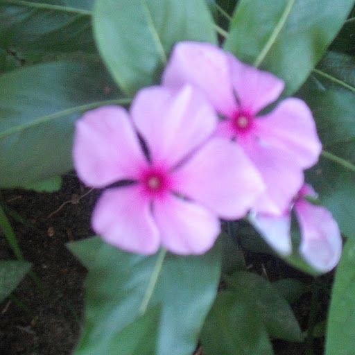 Leticia Bonilla Photo 13