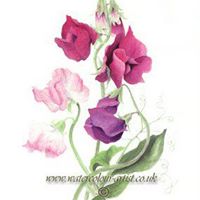 Joann Ray Photo 14
