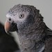 Bobby Gray Photo 7