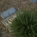 Helen Wenzel Photo 4