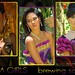 Marvin Chua Photo 8