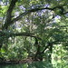 Cathy Dean Photo 15