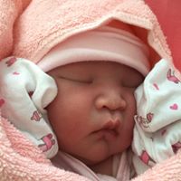 Vinh Do Photo 33