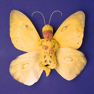 Teresa Wolf Photo 22