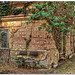 Robert Graf Photo 14