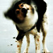 Otto Lui Photo 4