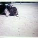 Edgar Bruno Photo 7