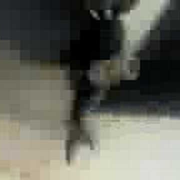 Vinicio Perez Photo 9