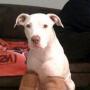Debra Greene Photo 20