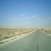 Mohammed Tarek Photo 11