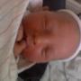 Ronnie Stepp Photo 7