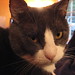 Aaron Otto Photo 8