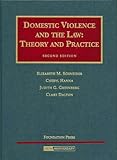 Domestic Violence And The Law: Theory And Practice (University Casebook)