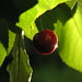 Arturo Cerezo Photo 3