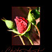 Tiffany Patton Photo 13