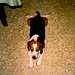 Brian Beagle Photo 9
