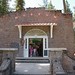 Julie Loomis Photo 9
