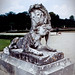 Charles Neiss Photo 4