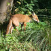 Kelvin Fox Photo 8