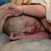 Zachary Small Photo 9