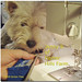 Jenny Fikes Photo 2