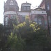 Anne Steiner Photo 12