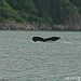 Steven Fluke Photo 5