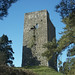Desmond Fitzgerald Photo 7