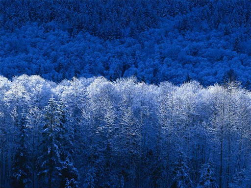 Steven Chadwick Photo 22