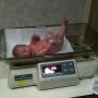 Joshua Schmitt Photo 33