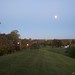 Peggy Kirkpatrick Photo 9