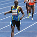 David Berlin Photo 16