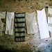 Tara Stabler Photo 7