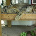 Tammy Mckay Photo 5