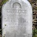 William Ayres Photo 18