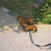 Jack Friend Photo 7
