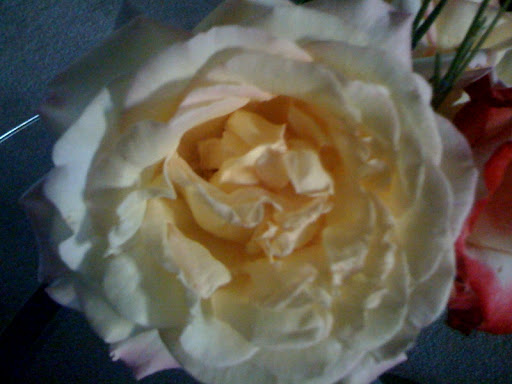 Sharon Perry Photo 28