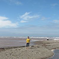 Tammy Sirois Photo 12