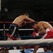 Daniel Alicea Photo 12
