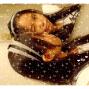 Xin Liu Photo 15