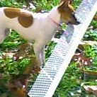 Debbie Satterfield Photo 6