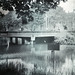 John Singel Photo 5