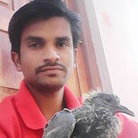 Sachin Rode Photo 6