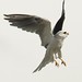 Don Kite Photo 6