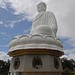 Long Trang Photo 2