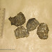 Feng Lu Photo 10